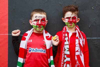 151125 - Wales v Japan - Quilter Nations Series - Wales fans before the match