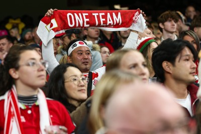 151125 - Wales v Japan - Quilter Nations Series - Japan fans during the match