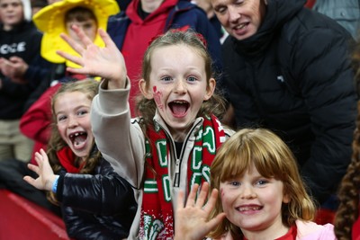 151125 - Wales v Japan - Quilter Nations Series - Wales fans during the match