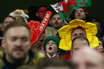 151125 - Wales v Japan - Quilter Nations Series - Wales fans during the match