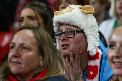 151125 - Wales v Japan - Quilter Nations Series - Wales fans during the match