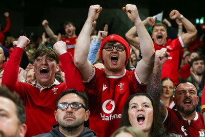 151125 - Wales v Japan - Quilter Nations Series - Wales fans during the match