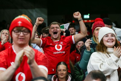 151125 - Wales v Japan - Quilter Nations Series - Wales fans during the match
