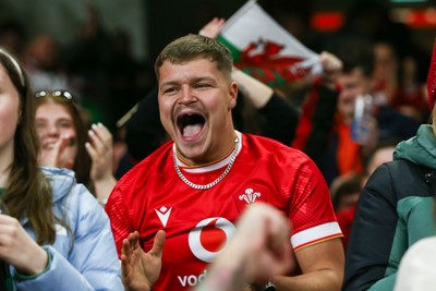151125 - Wales v Japan - Quilter Nations Series - Wales fans during the match