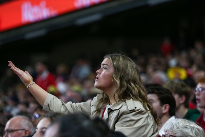 151125 - Wales v Japan - Quilter Nations Series - Wales fan reacts during the match