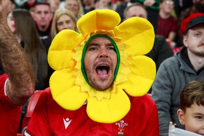 151125 - Wales v Japan - Quilter Nations Series - Wales fans during the match