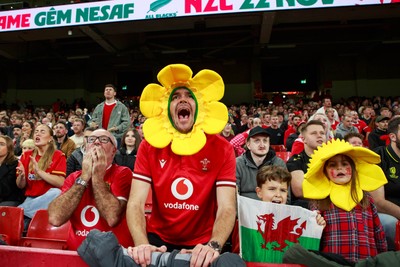 151125 - Wales v Japan - Quilter Nations Series - Wales fans during the match