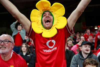 151125 - Wales v Japan - Quilter Nations Series - Wales fans during the match