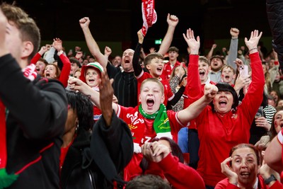 151125 - Wales v Japan - Quilter Nations Series - Wales fans during the match