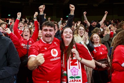 151125 - Wales v Japan - Quilter Nations Series - Wales fans during the match
