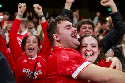 151125 - Wales v Japan - Quilter Nations Series - Wales fans during the match