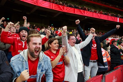 151125 - Wales v Japan - Quilter Nations Series - Wales fans during the match