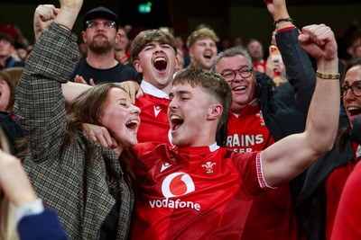 151125 - Wales v Japan - Quilter Nations Series - Wales fans during the match