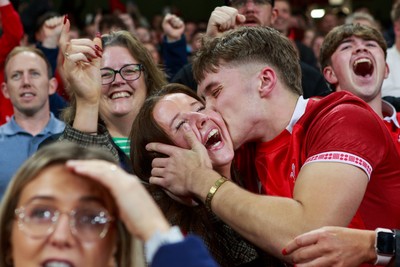 151125 - Wales v Japan - Quilter Nations Series - Wales fans during the match