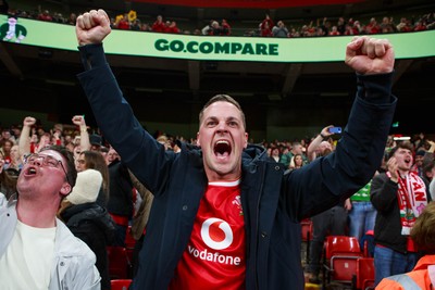 151125 - Wales v Japan - Quilter Nations Series - Wales fans during the match