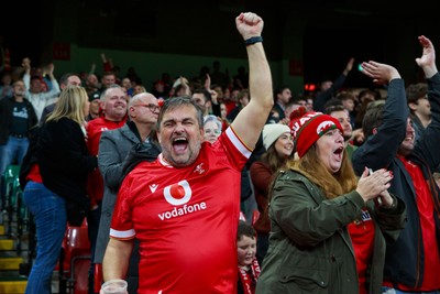 151125 - Wales v Japan - Quilter Nations Series - Wales fans during the match
