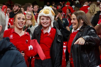 151125 - Wales v Japan - Quilter Nations Series - Wales fans during the match