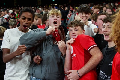 151125 - Wales v Japan - Quilter Nations Series - Wales fans during the match