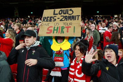 151125 - Wales v Japan - Quilter Nations Series - Wales fans during the match