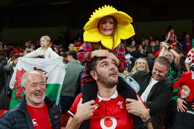 151125 - Wales v Japan - Quilter Nations Series - Wales fans during the match