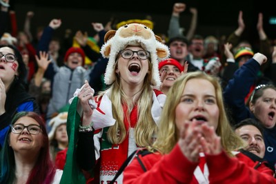 151125 - Wales v Japan - Quilter Nations Series - Wales fans during the match