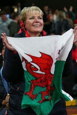 151125 - Wales v Japan - Quilter Nations Series - Wales fans during the match