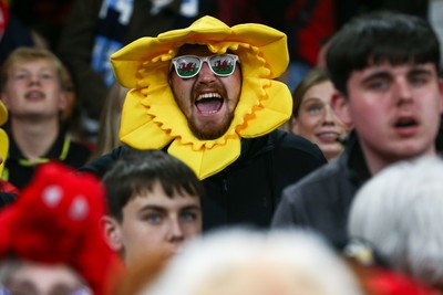151125 - Wales v Japan - Quilter Nations Series - Wales fans during the match