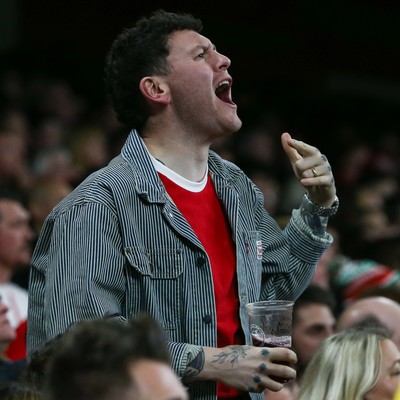 151125 - Wales v Japan - Quilter Nations Series - Wales fans during the match
