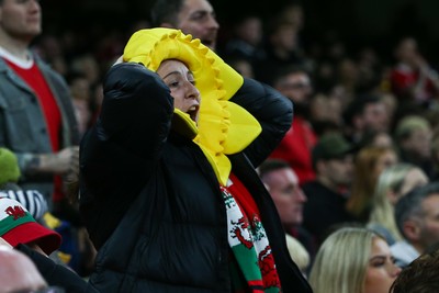 151125 - Wales v Japan - Quilter Nations Series - Wales fans during the match