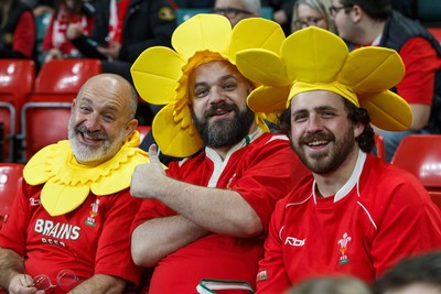 151125 - Wales v Japan - Quilter Nations Series - Wales fans before the match