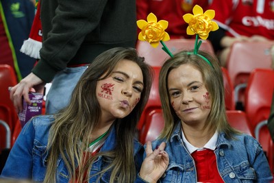 151125 - Wales v Japan - Quilter Nations Series - Wales fans before the match