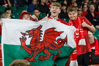 151125 - Wales v Japan - Quilter Nations Series - Wales fans before the match