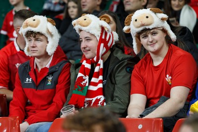 151125 - Wales v Japan - Quilter Nations Series - Wales fans before the match