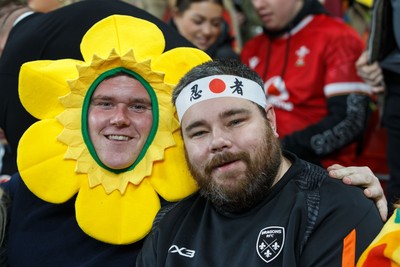 151125 - Wales v Japan - Quilter Nations Series - Wales fans before the match