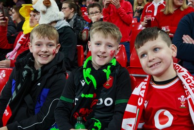 151125 - Wales v Japan - Quilter Nations Series - Wales fans before the match