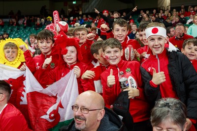 151125 - Wales v Japan - Quilter Nations Series - Wales fans before the match