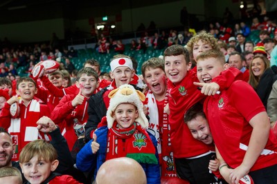 151125 - Wales v Japan - Quilter Nations Series - Wales fans before the match
