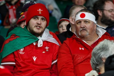 151125 - Wales v Japan - Quilter Nations Series - Wales fans before the match