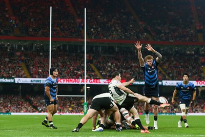 151125 - Wales v Japan - Quilter Nations Series - Tomos Williams of Wales kicks the ball under pressure from Warner Dearns of Japan