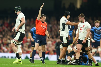 151125 - Wales v Japan - Quilter Nations Series - Referee Matthew Carley awards a penalty