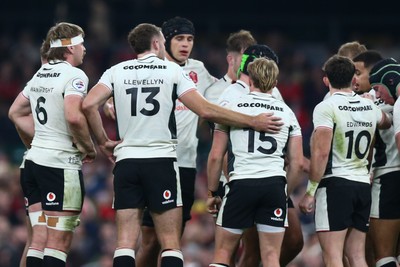 151125 - Wales v Japan - Quilter Nations Series - Wales huddle