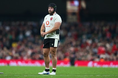 151125 - Wales v Japan - Quilter Nations Series - Nicky Smith of Wales