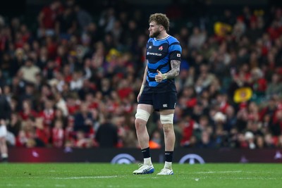 151125 - Wales v Japan - Quilter Nations Series - Warner Dearns of Japan