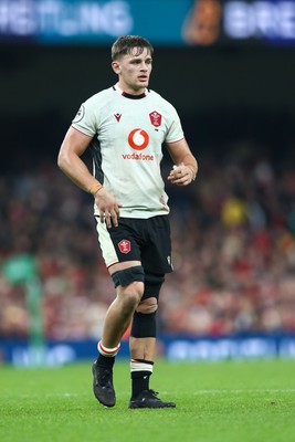 151125 - Wales v Japan - Quilter Nations Series - Alex Mann of Wales