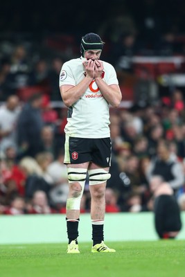 151125 - Wales v Japan - Quilter Nations Series - Adam Beard of Wales