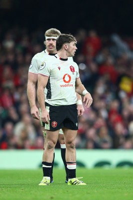 151125 - Wales v Japan - Quilter Nations Series - Aaron Wainwright and Dan Edwards of Wales