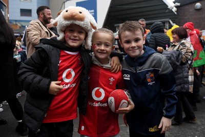 151125 - Wales v Japan - Quilter Nations Series - fans