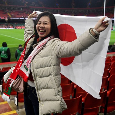 151125 - Wales v Japan - Quilter Nations Series - fans