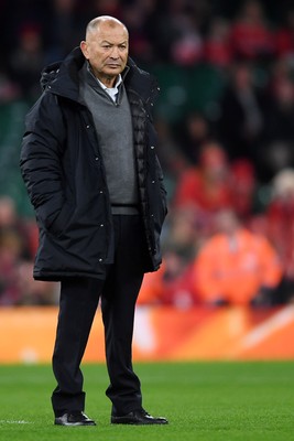 151125 - Wales v Japan - Quilter Nations Series - Eddie Jones, Japan Head Coach