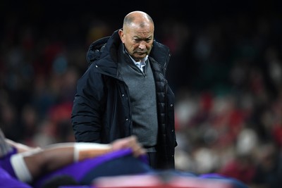 151125 - Wales v Japan - Quilter Nations Series - Eddie Jones, Japan Head Coach